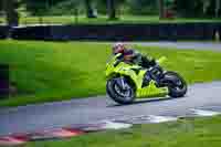 Advanced Group Yellow Bikes